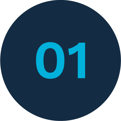 Descubrimiento y análisis